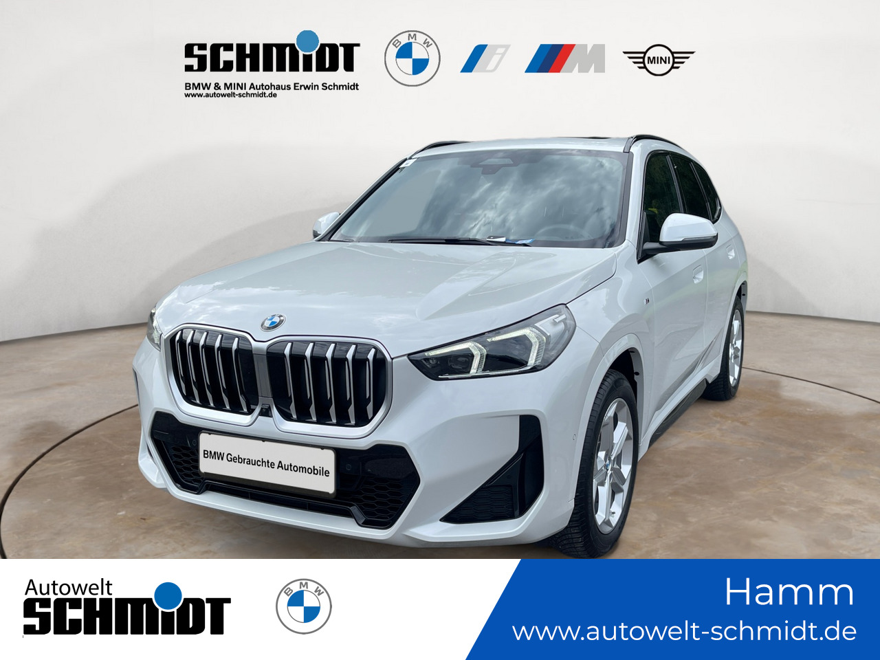 BMW X1 xDrive20d M Sportpaket + GARANTIE-bis-10.2029