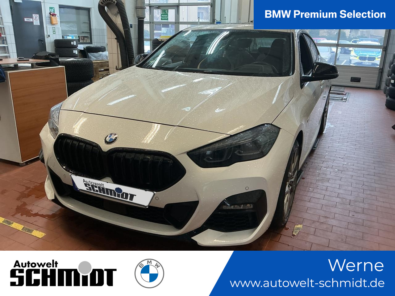 BMW 220i GC Edition Colorvision + GARANTIE-bis-10.29