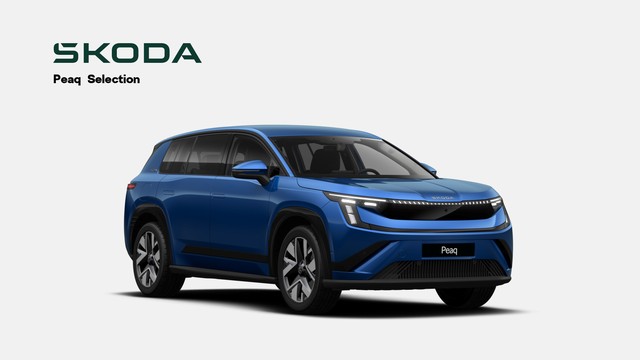 Skoda Peaq Selection 90 AHK SONOS Leder HeadUP 360°