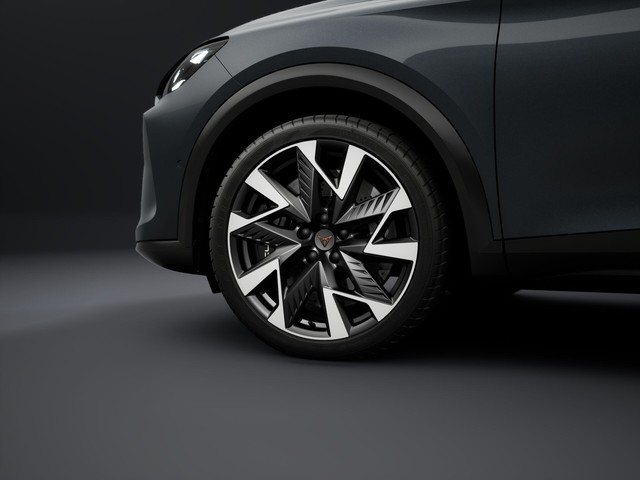 Cupra Formentor VZ 2.0 TSI 4 Drive Matrix LED Pano Navi Kamera LM19 Pure Perf. Paket