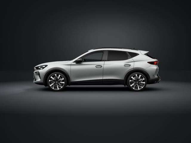 Cupra Formentor VZ 2.0 TSI 4 Drive Matrix LED Pano Navi Kamera LM19 Pure Perf. Paket