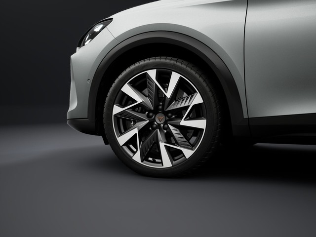 Cupra Formentor VZ 2.0 TSI 4 Drive Matrix LED Pano Navi Kamera LM19 Pure Perf. Paket