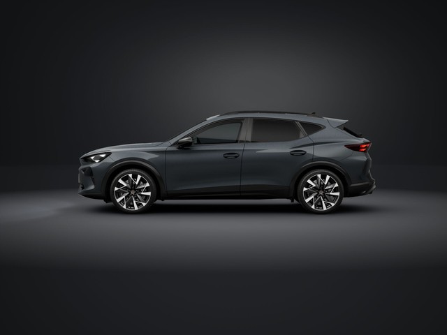 Cupra Formentor VZ 2.0 TSI 4 Drive Matrix LED Pano Navi Kamera LM19 Pure Perf. Paket