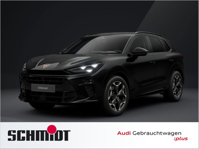 Cupra Terramar 2.0 TSI 4Drive VZ AHK ACC SHZ LED Kamera LM19 Mem. Sitz