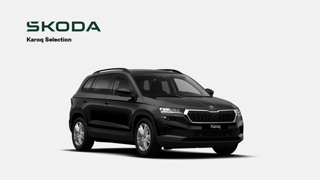 Skoda Karoq Selection 2,0 TDI DSG Navi AHK Kamera ACC