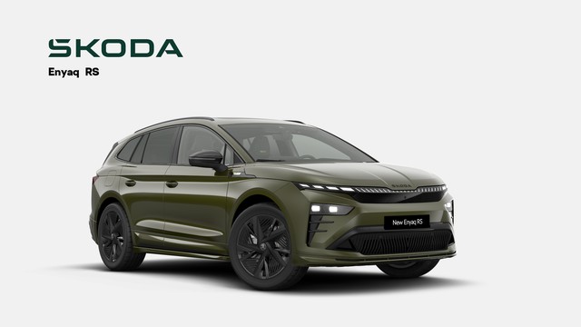 Skoda Enyaq RS AHK Pano Kamera360° CANTON