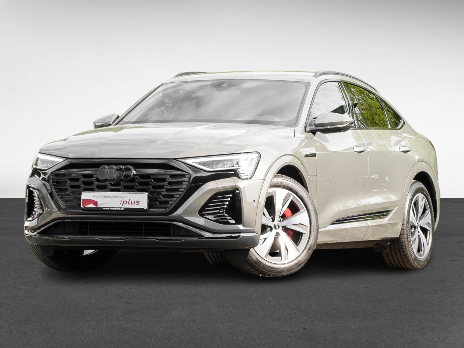 Audi Q8 e-tron Sportback 55 quattro S LINE AHK LM20