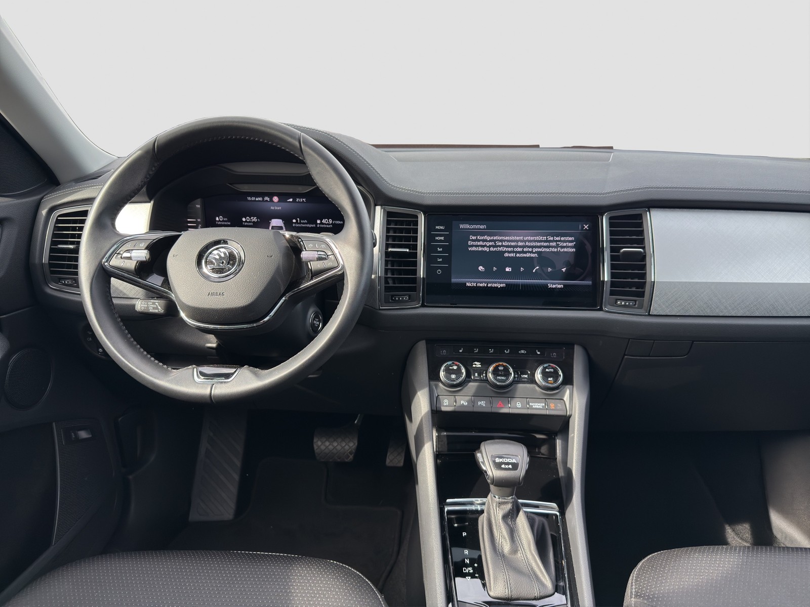 Skoda Kodiaq 2.0 TOUR 4X4 PANO STANDHZ AHK 360CAM LM19