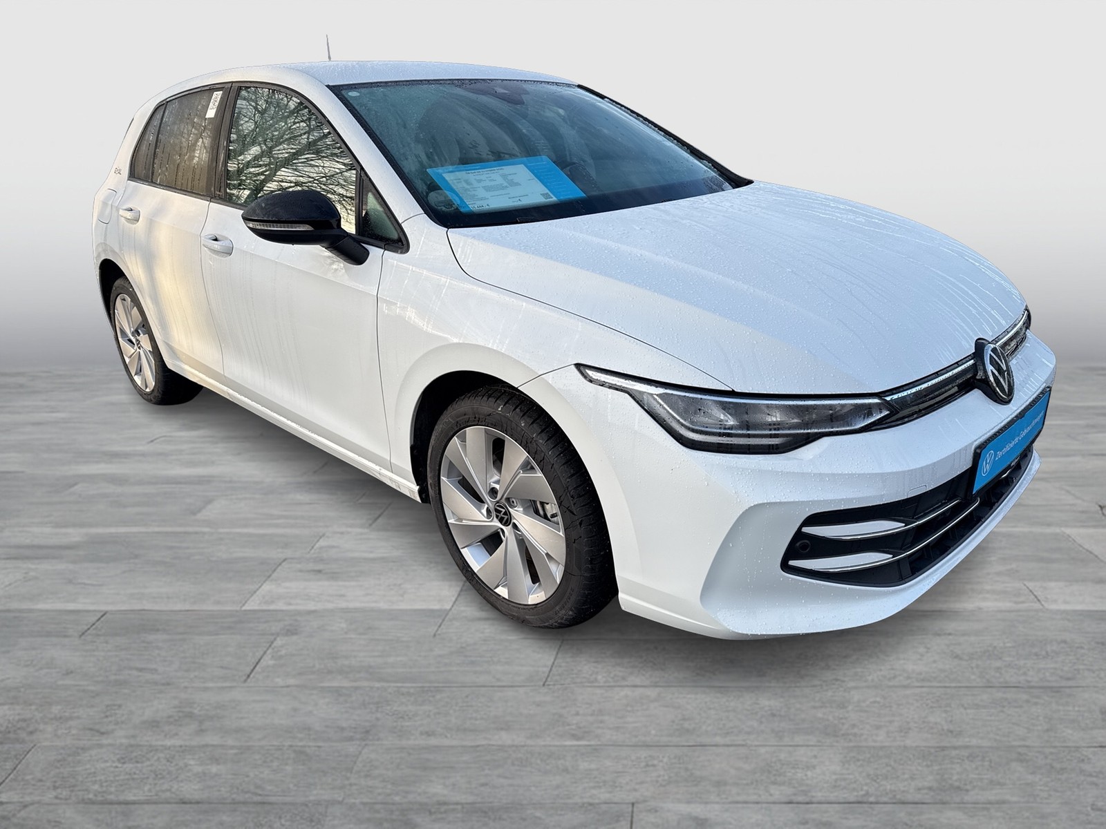 Volkswagen Golf VIII 1.5 HYBRID GOAL FACELIFT AHK CAM ACC