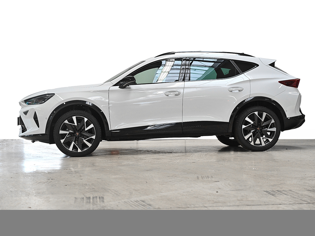 Cupra Formentor 1.5 DSG AHK 19ZOLL SHZ NAV ACC EKLAPPE