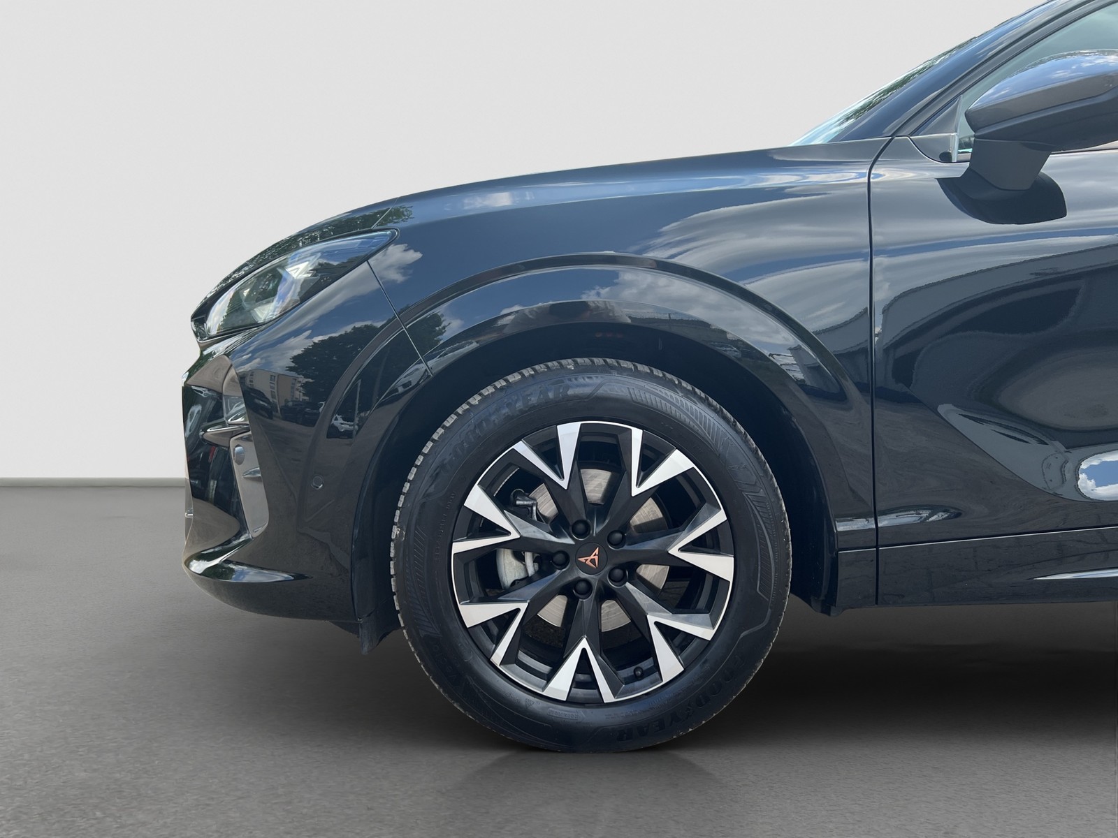 Cupra Terramar 1.5 eTSI 360°CAM ACC LM18 E-KLAPPE NAVI