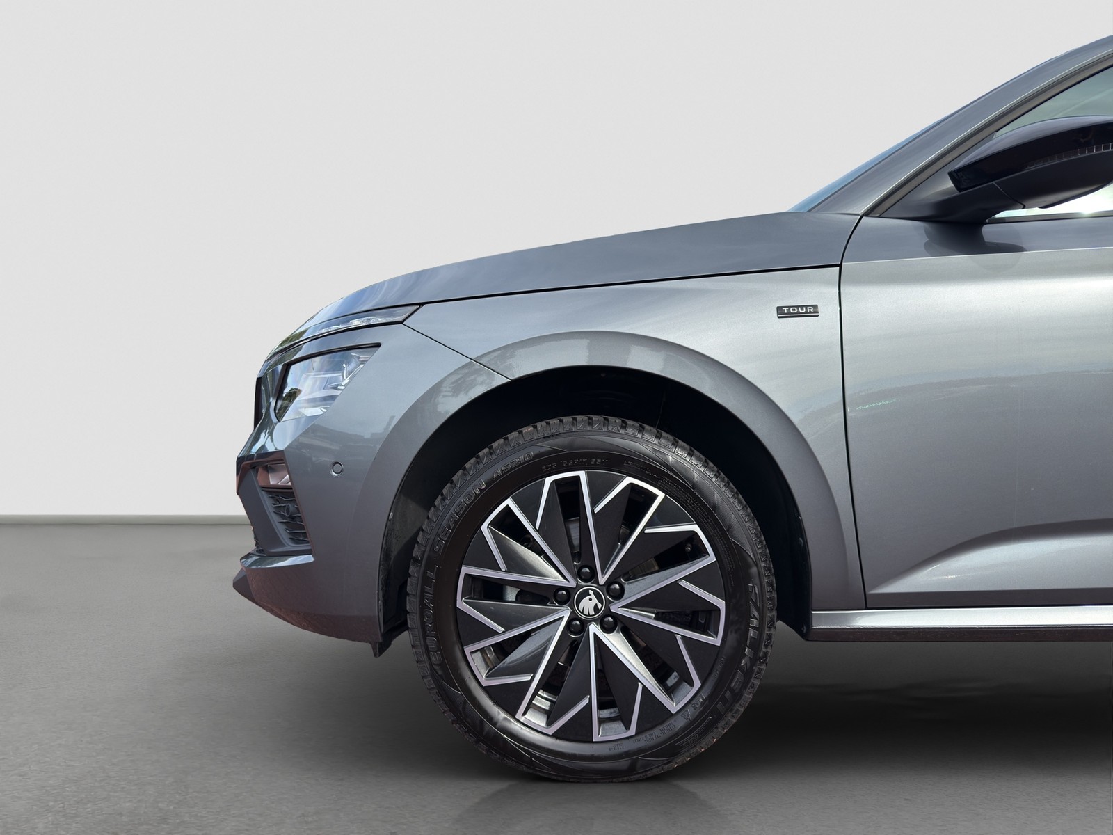 Skoda Kamiq 1.0 TOUR AHK CAM ACC E-KLAPPE NAVI LM17