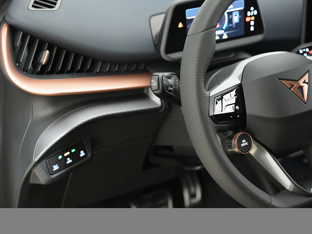Cupra Tavascan ENDURANCE WÄRMEPUMPE SENNHEISER eSITZE