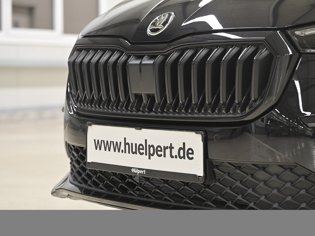Skoda Scala 1.5 MONTE CARLO PANO AHK CAM LM18 E-KLAPPE