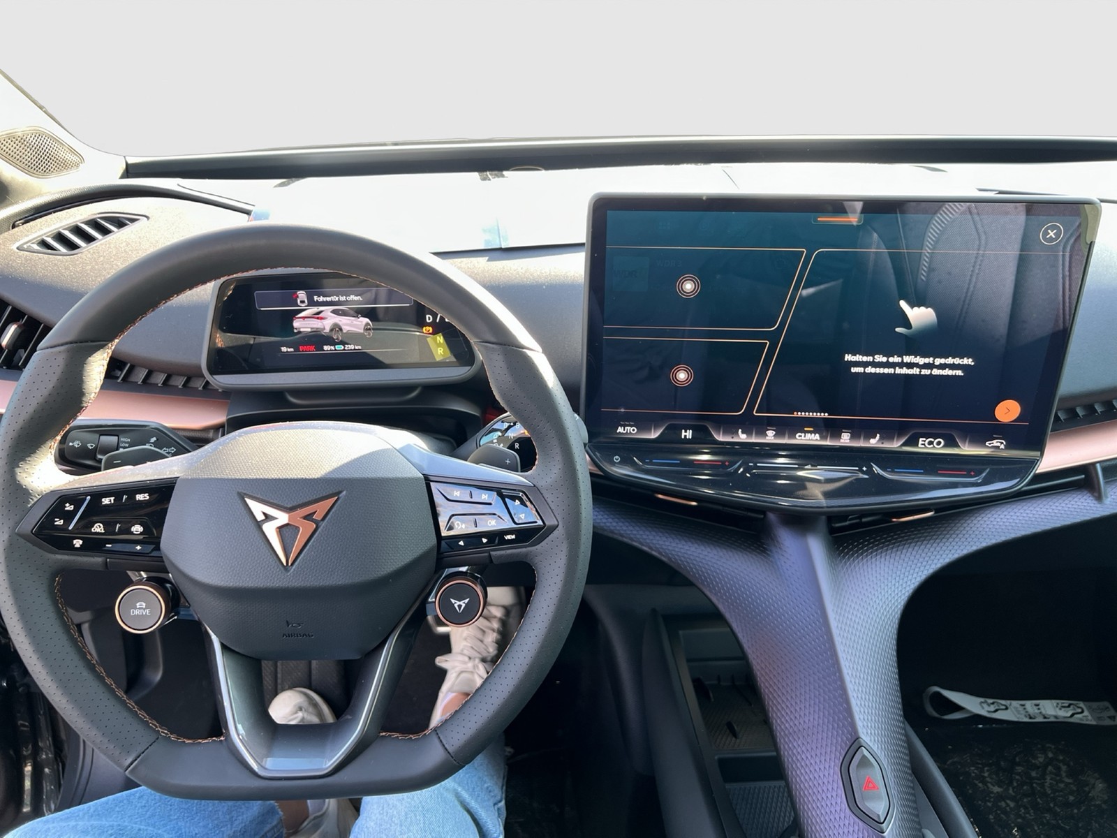 Cupra Tavascan ENDURANCE WÄRMEPUMPE CAM ACC LM19 NAVI