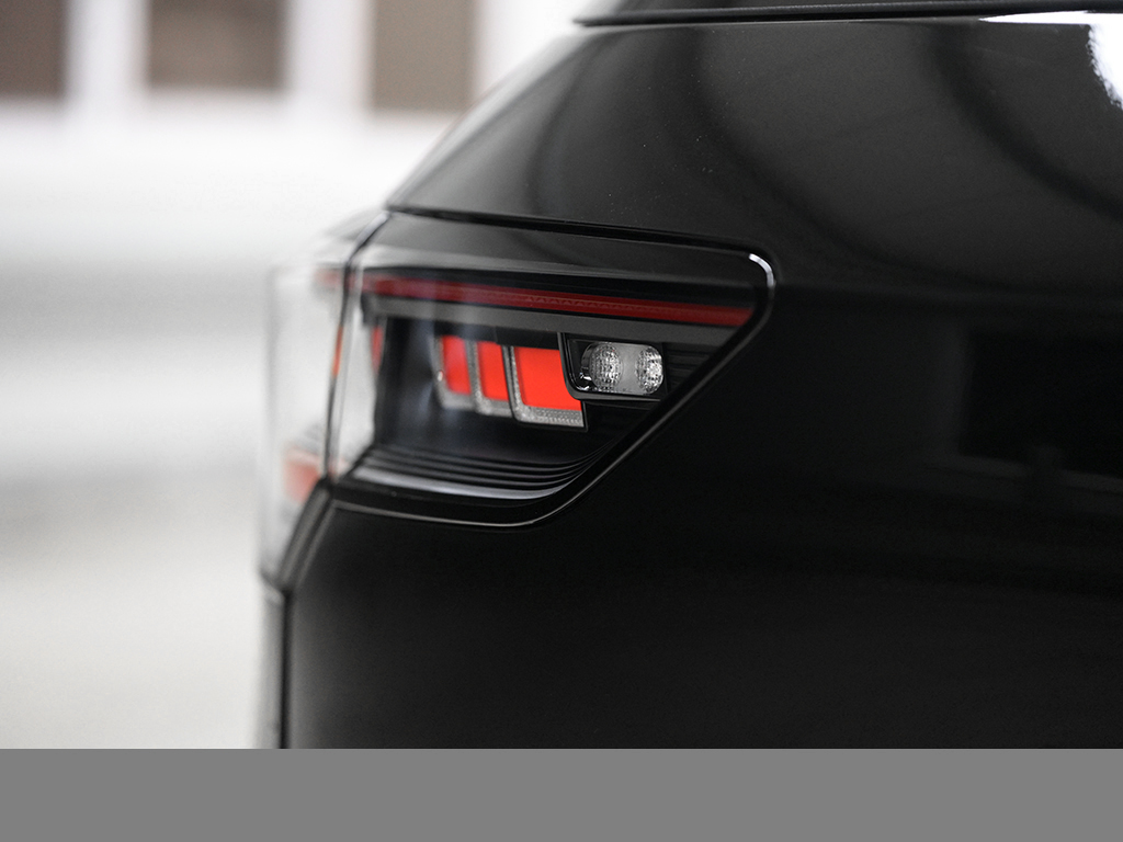 Volkswagen Golf VIII 1.5 eTSI R-LINE FACELIFT CAM ACC LM18