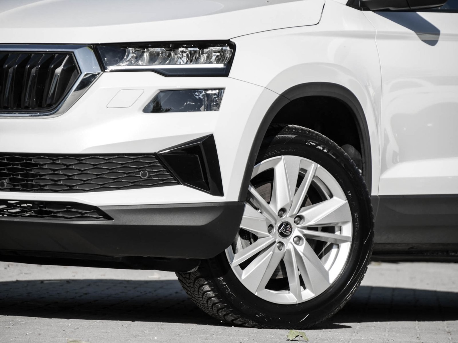 Skoda Karoq 1.5 SELECTION CAM ACC LM17 E-KLAPPE NAVI