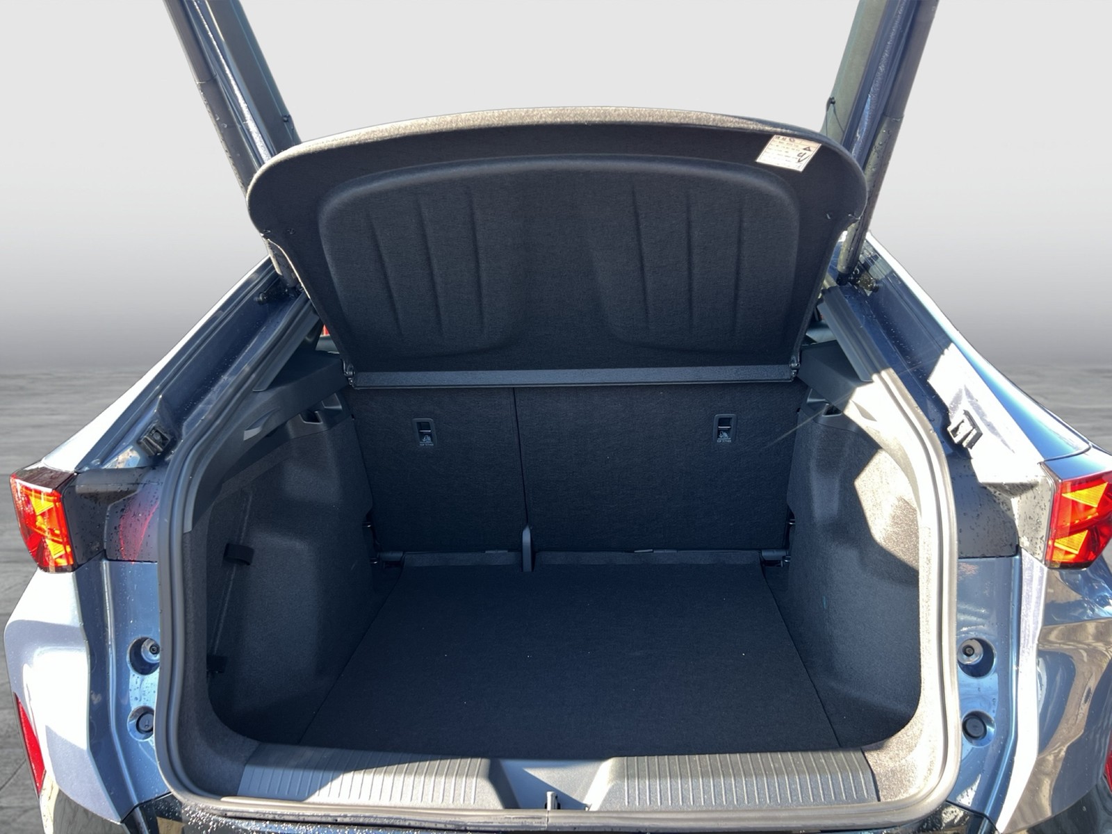 Cupra Tavascan ENDURANCE WÄRMEPUMPE CAM ACC LM19 NAVI