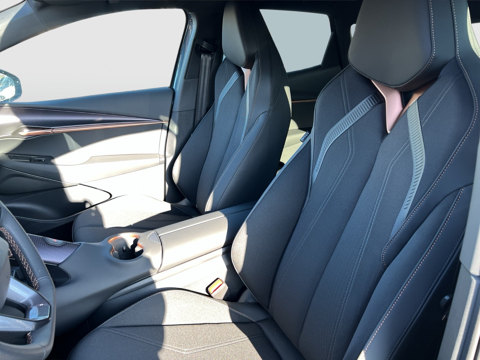 Cupra Tavascan ENDURANCE WÄRMEPUMPE CAM ACC LM19 NAVI