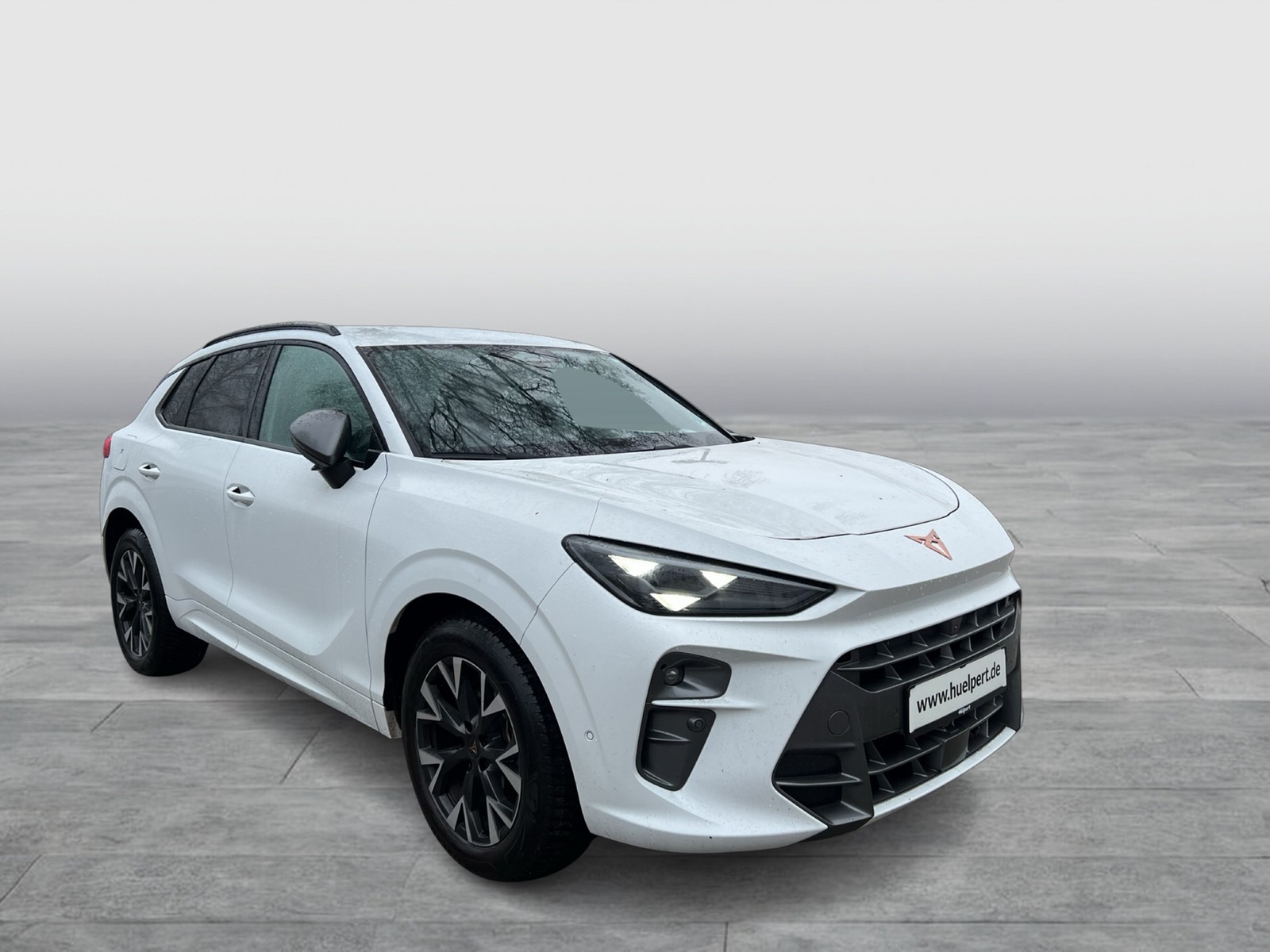 Cupra Terramar 1.5 eTSI 360CAM ACC LM18 HEADUP EKLAPPE