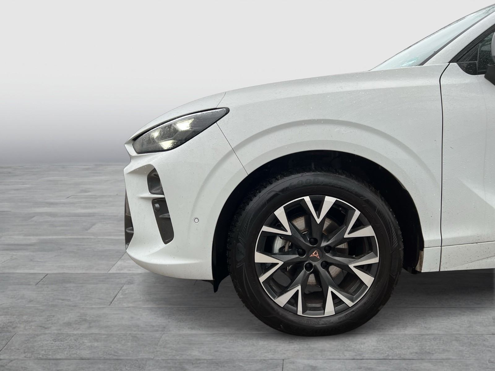 Cupra Terramar 1.5 eTSI 360CAM ACC LM18 HEADUP EKLAPPE