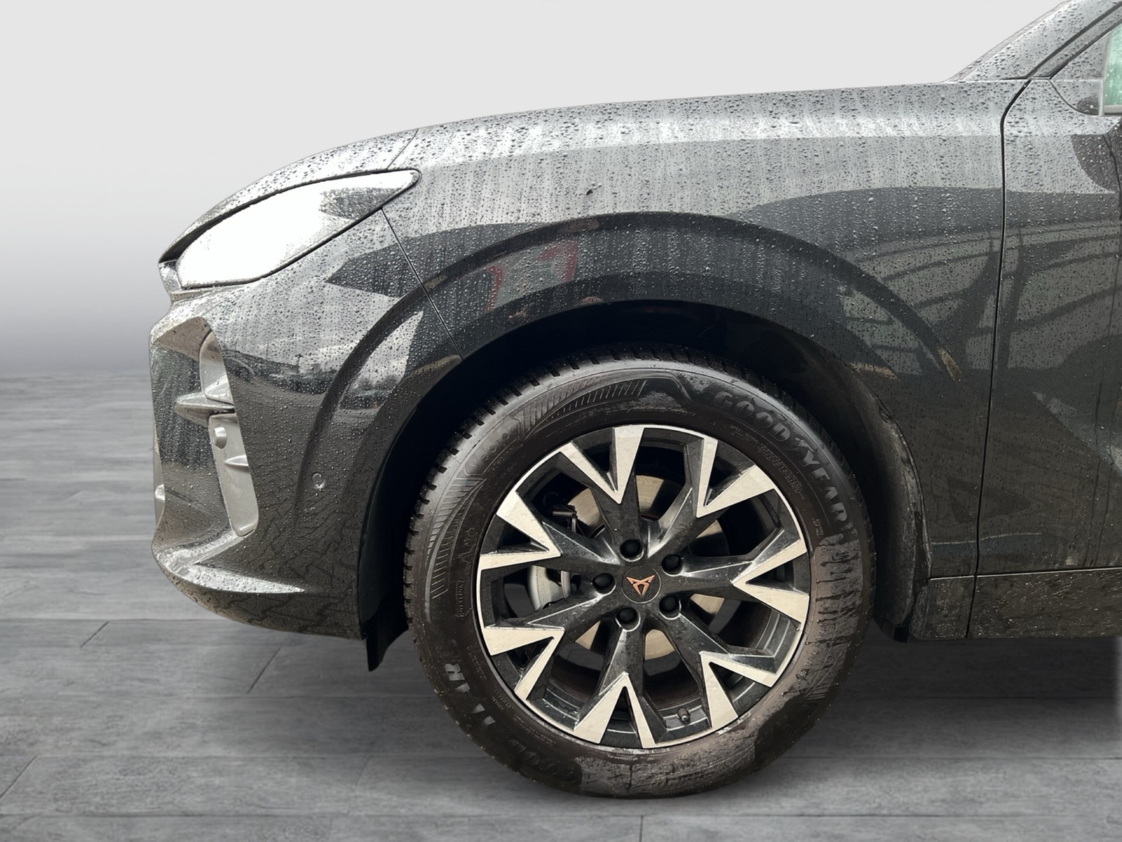 Cupra Terramar 1.5 eTSI 360CAM ACC LM18 HEADUP EKLAPPE