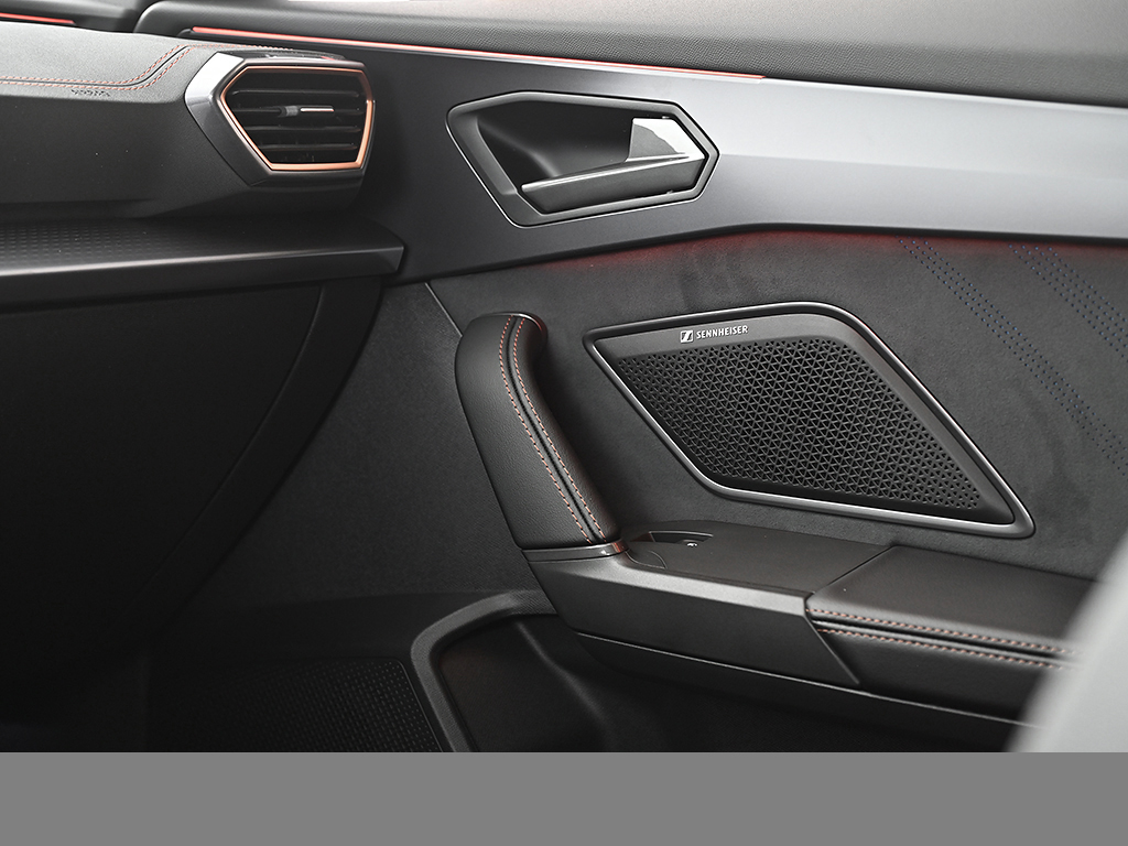 Cupra Formentor 2.0 VZ DSG SENNH. AHK 19ZOLL NAV ACC