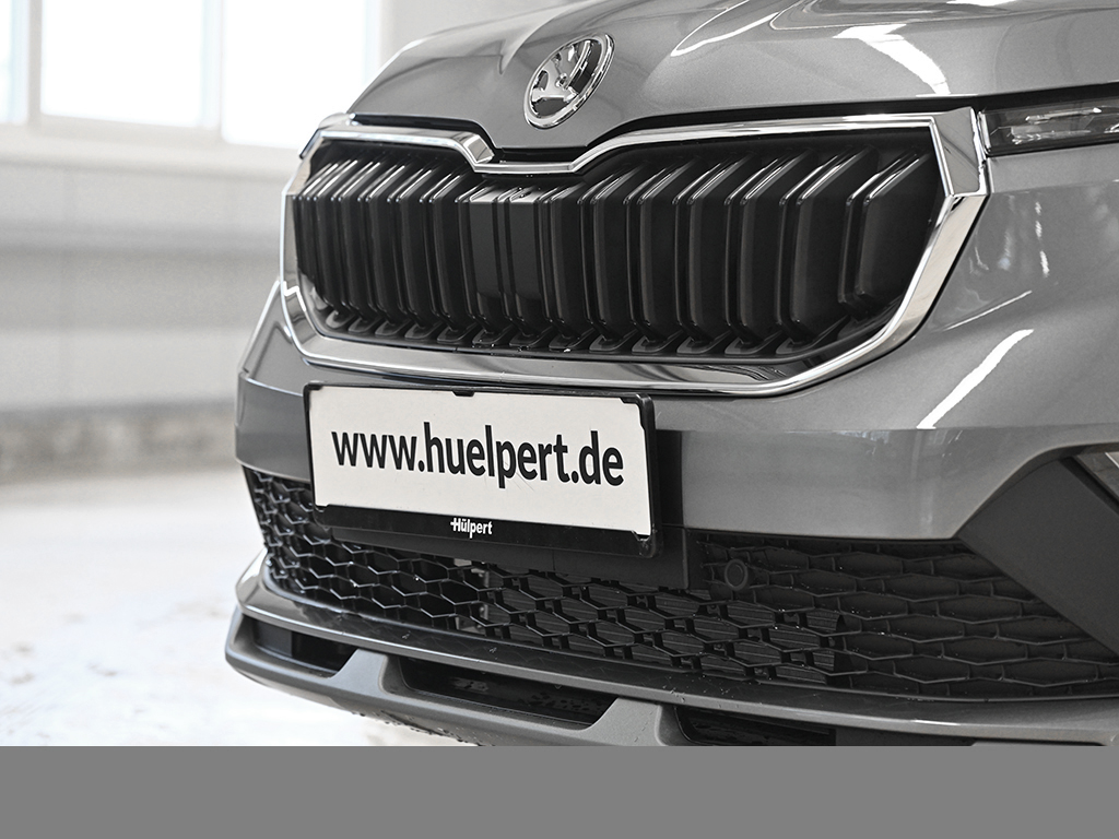 Skoda Kamiq 1.0 TOUR DSG MATRIXLED CAM eKLAPPE NAVI