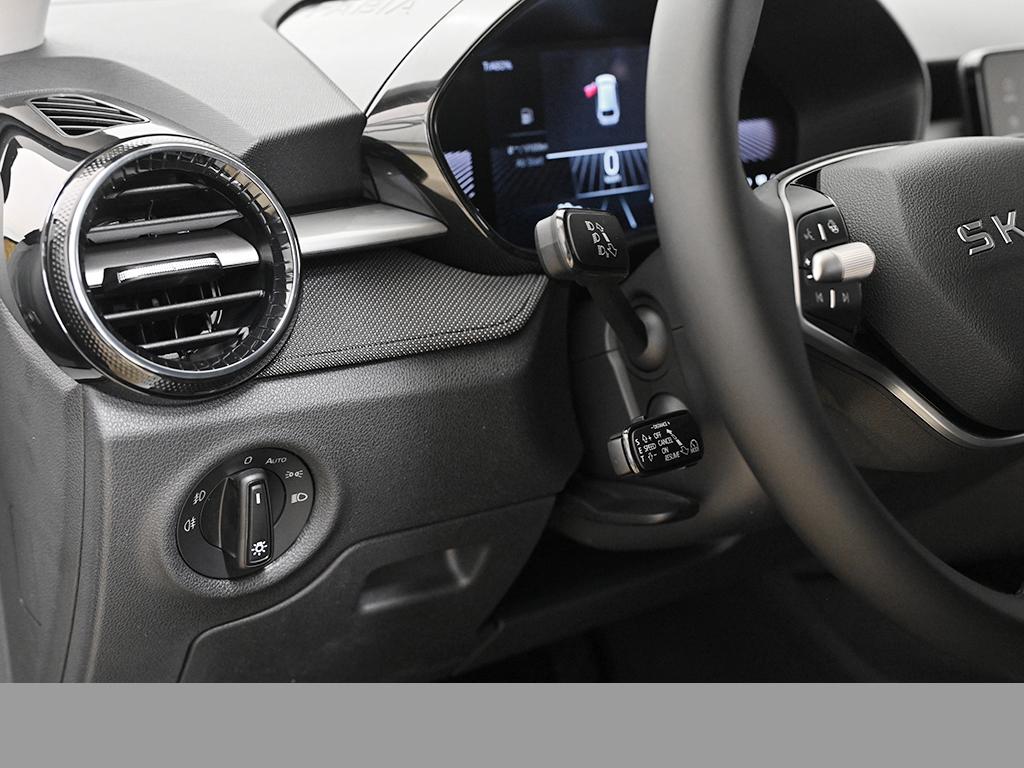 Skoda Fabia 1.0 TOUR LENKRAD-&SITZHZG AHK CAM LED LM16