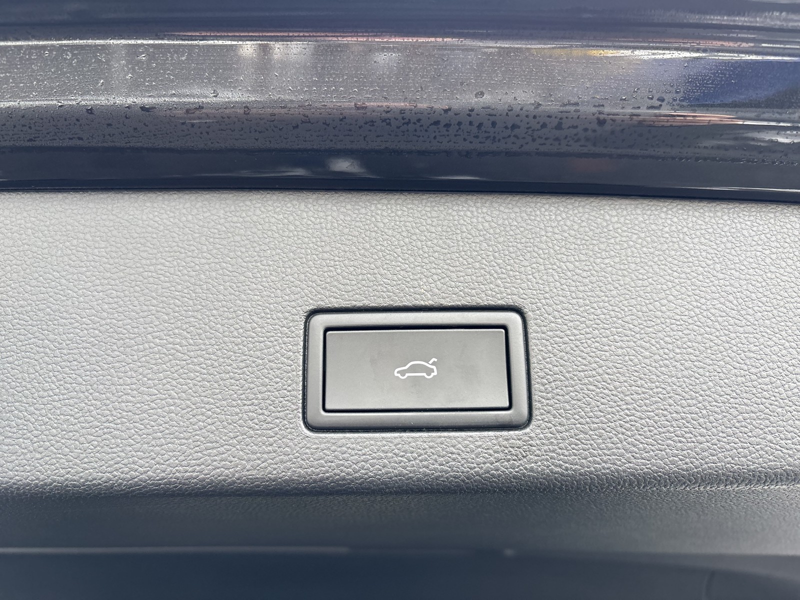 Volkswagen Golf Variant VIII 2.0 R-LINE BLACK STYLE PANO CAM ACC LM18