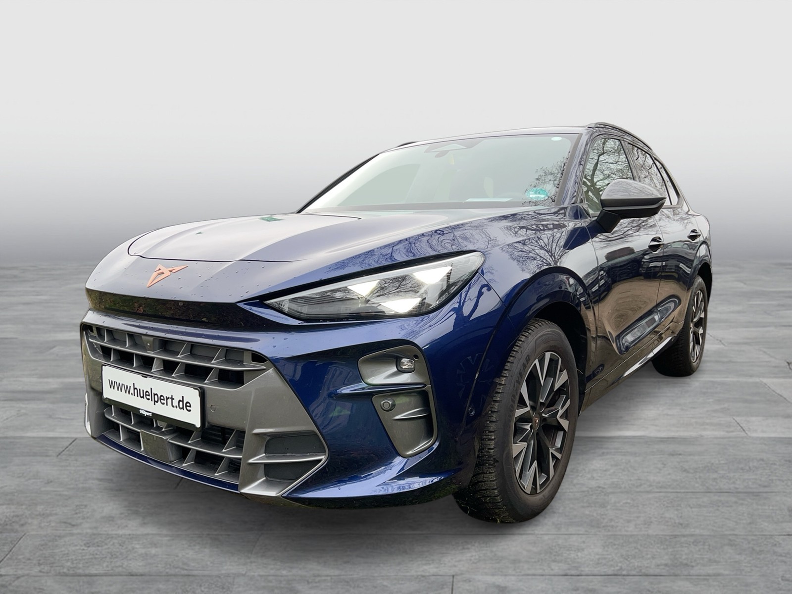 Cupra Terramar 1.5 eTSI 360CAM ACC LM18 HEADUP EKLAPPE