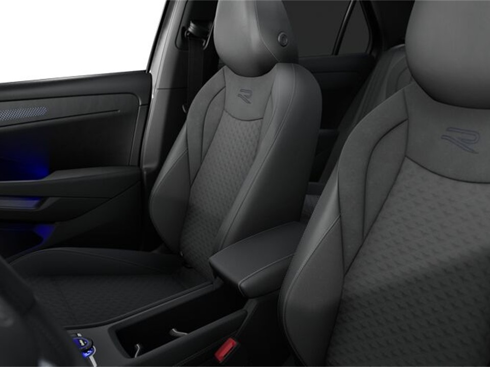 Volkswagen T-Roc R-LINE AHK BLACKSTYLE eKLAPPE ACC CAM LM19