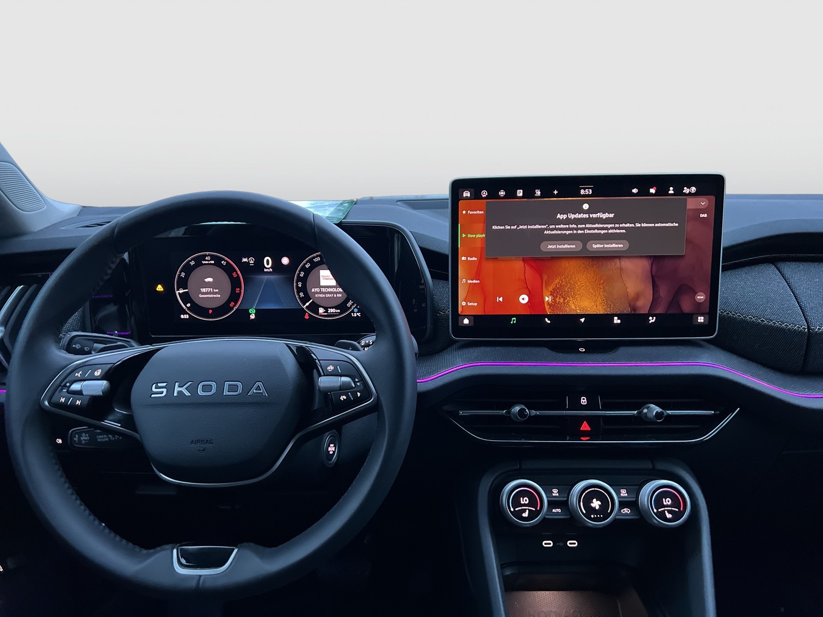 Skoda Kodiaq 2.0 SELECTION STANDHZ AHK 360CAM ACC NAVI