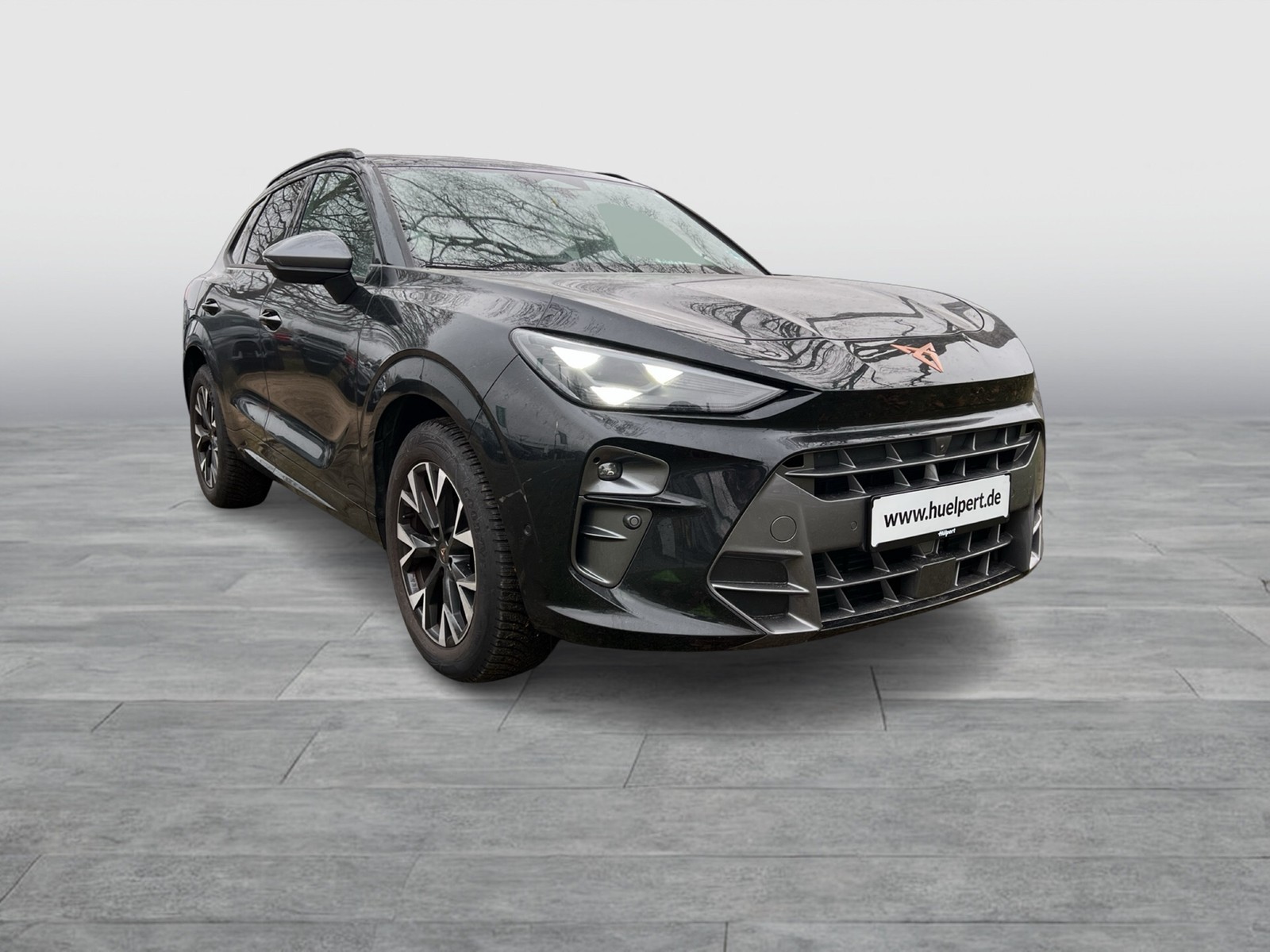 Cupra Terramar 1.5 eTSI 360CAM ACC LM18 HEADUP EKLAPPE