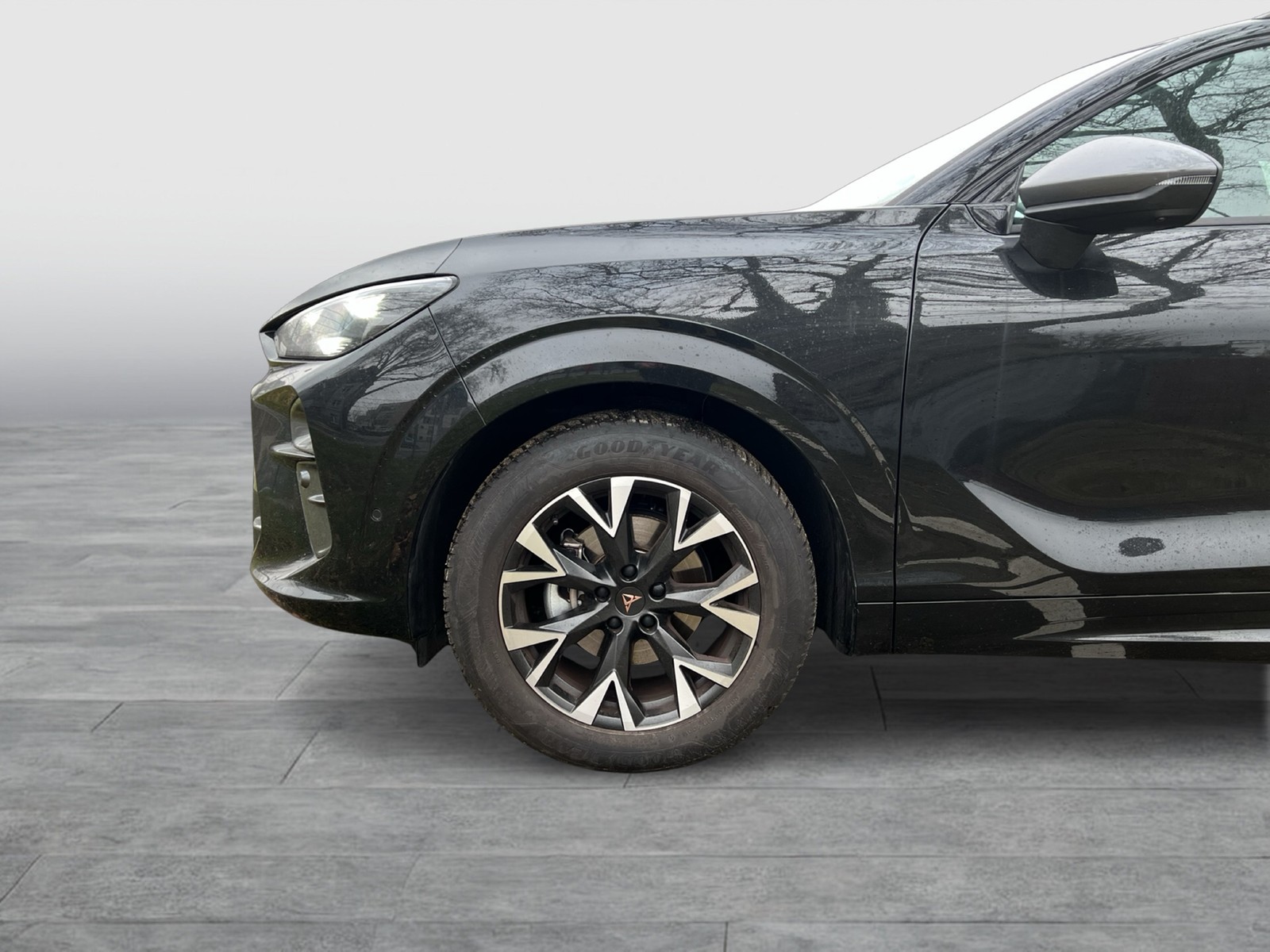 Cupra Terramar 1.5 eTSI 360CAM ACC LM18 HEADUP EKLAPPE