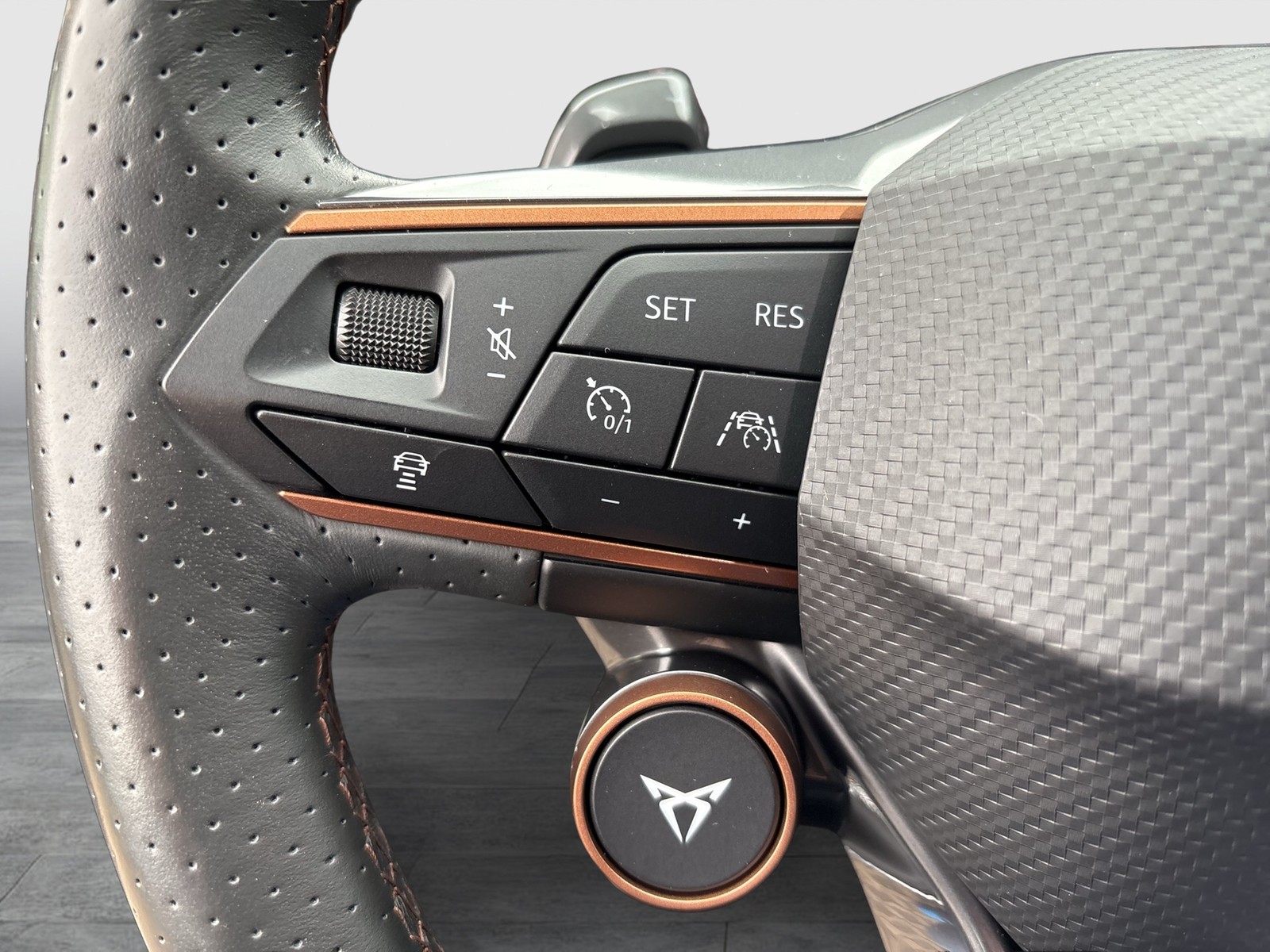 Cupra Formentor 1.4 HYBRID VZ LEDER 360°CAM ACC LM19