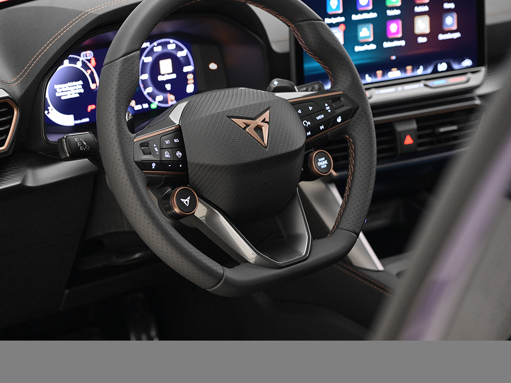 Cupra Formentor 2.5 VZ5 4DRIVE PANO MATRIXLED 360CAM