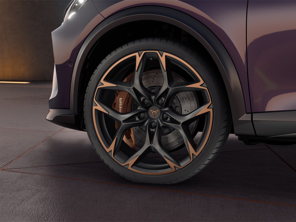Cupra Formentor 2.5 VZ5 4DRIVE PANO MATRIXLED 360CAM