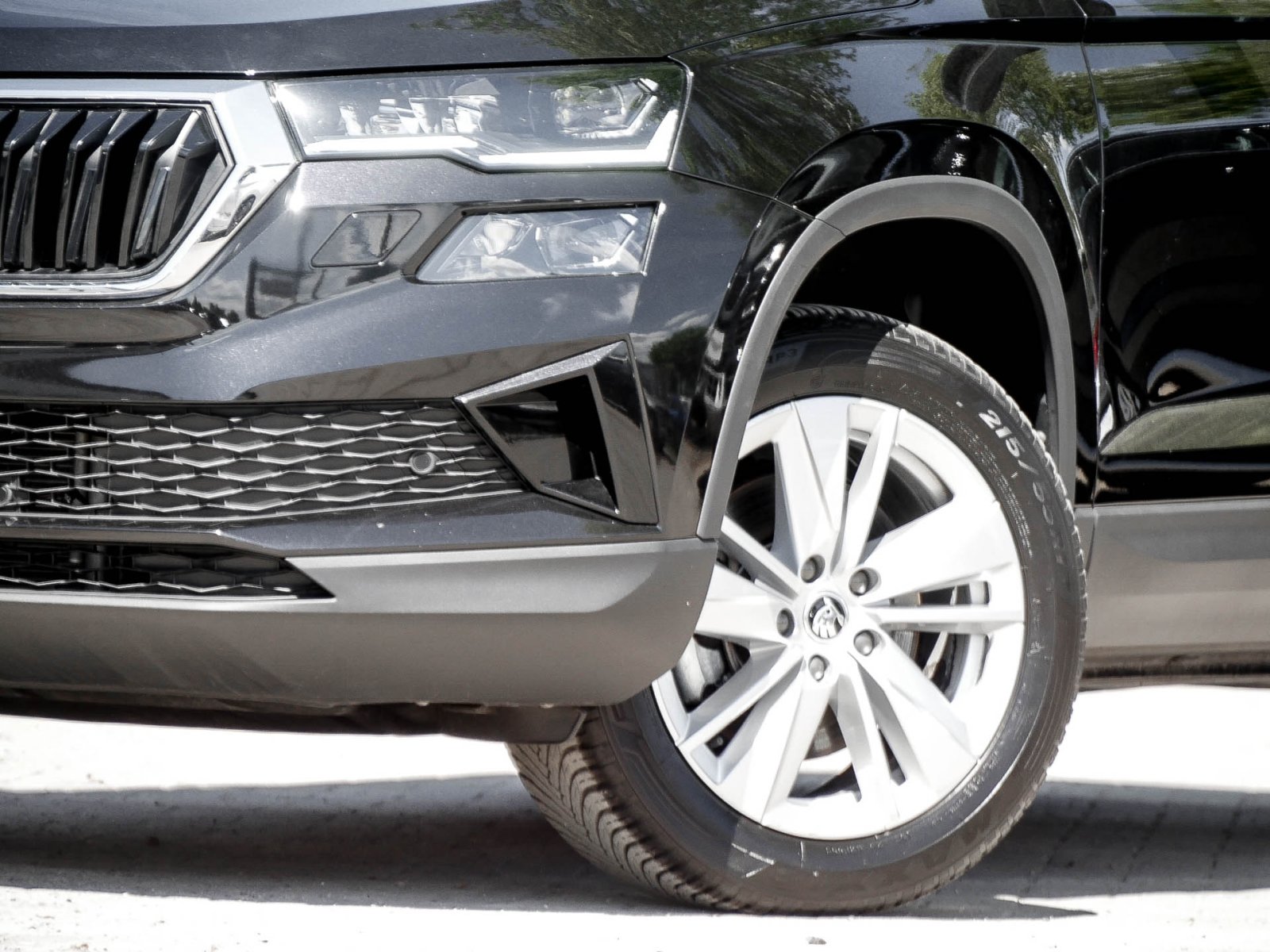 Skoda Karoq 1.5 SELECTION AHK CAM EKLAPPE NAVICOLUMBUS