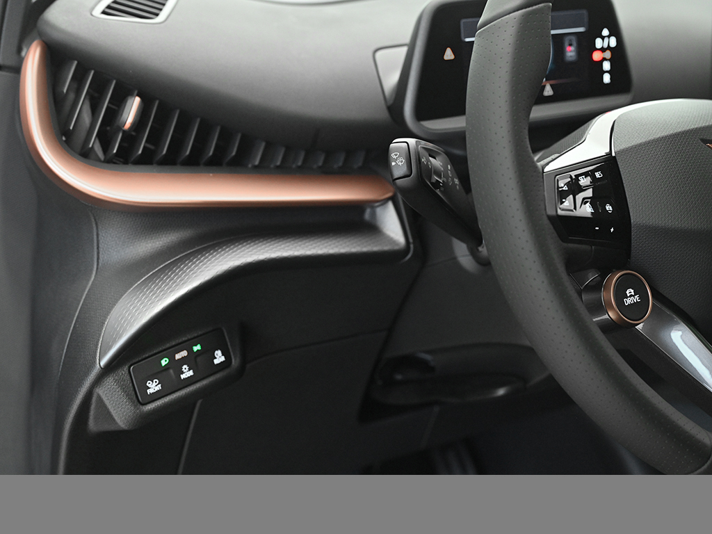 Cupra Tavascan VZ 4DRIVE WÄRMEPUMPE PANO MATRIXLED