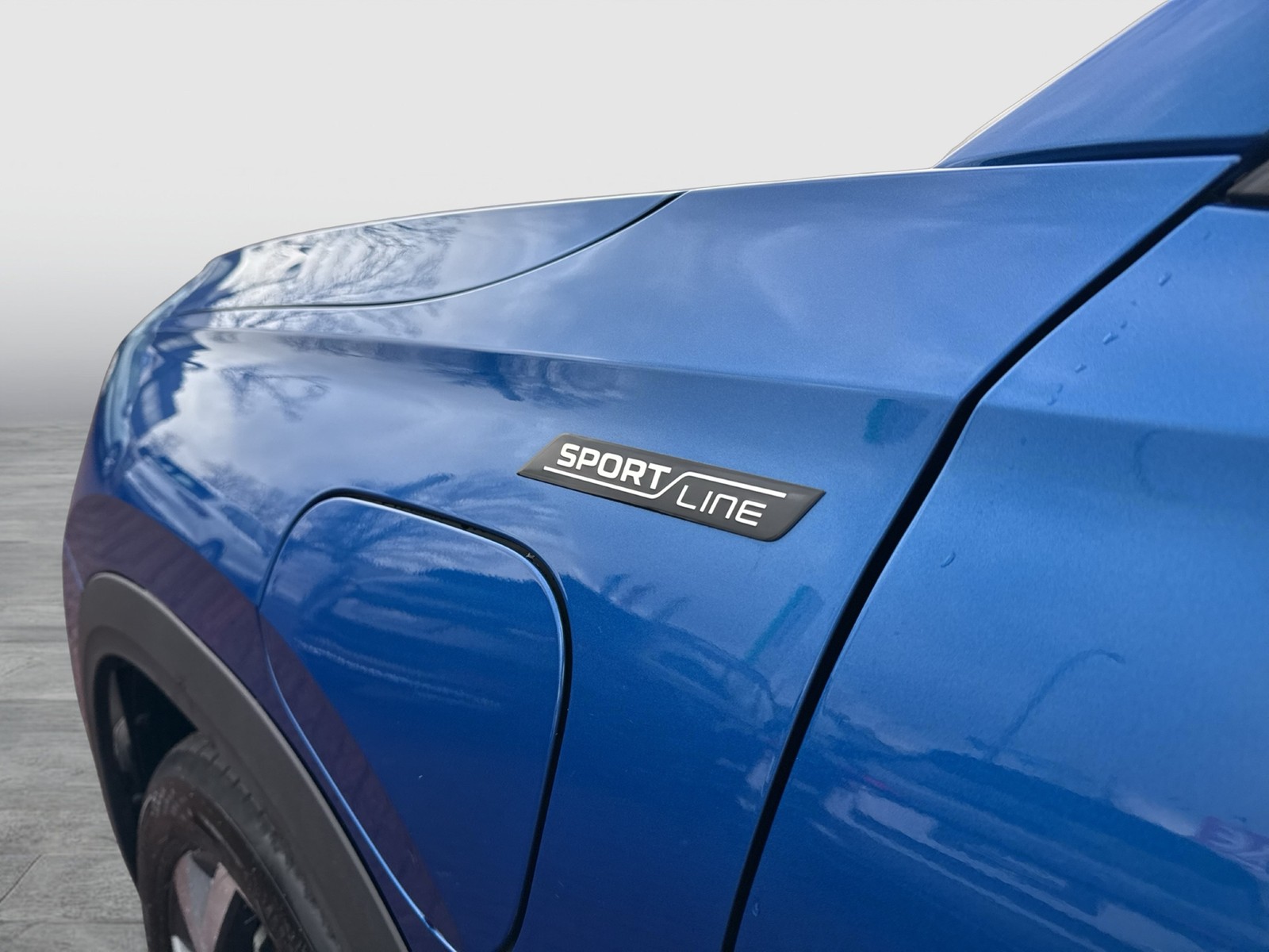 Skoda Kodiaq 1.5 iV SPORTLINE PANO AHK CAM LM19 MATRIX