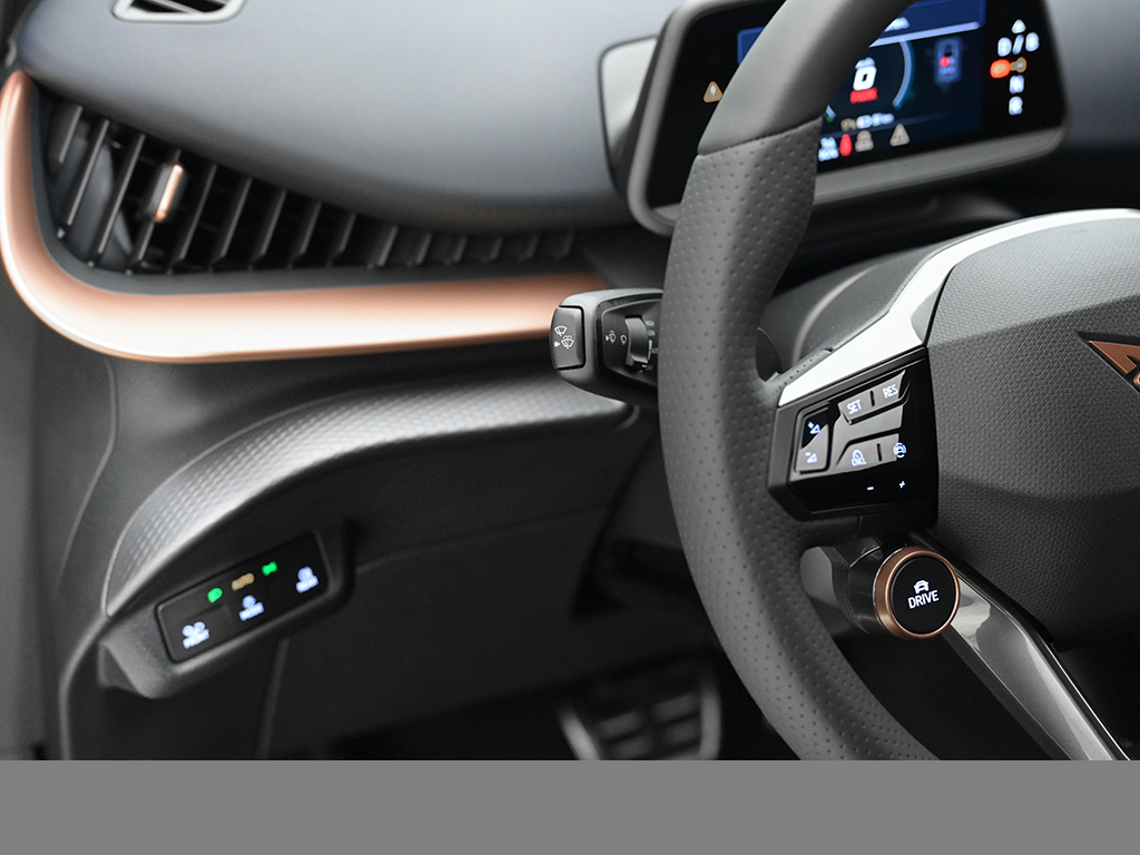 Cupra Tavascan ENDURANCE eSITZE WÄRMEPUMPE SENNHEISER
