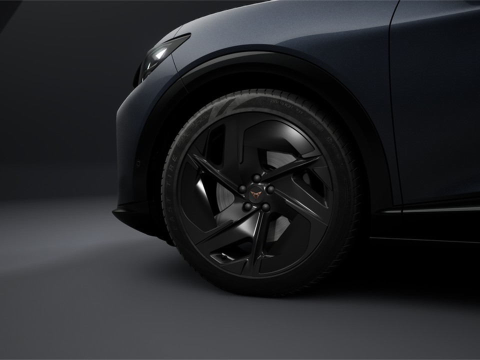 Cupra Tavascan VZ BLACK EDITION 4DRIVE eSITZE PANO