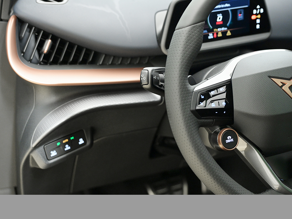 Cupra Tavascan VZ 4DRIVE WÄRMEPUMPE eSITZE SENNHEISER