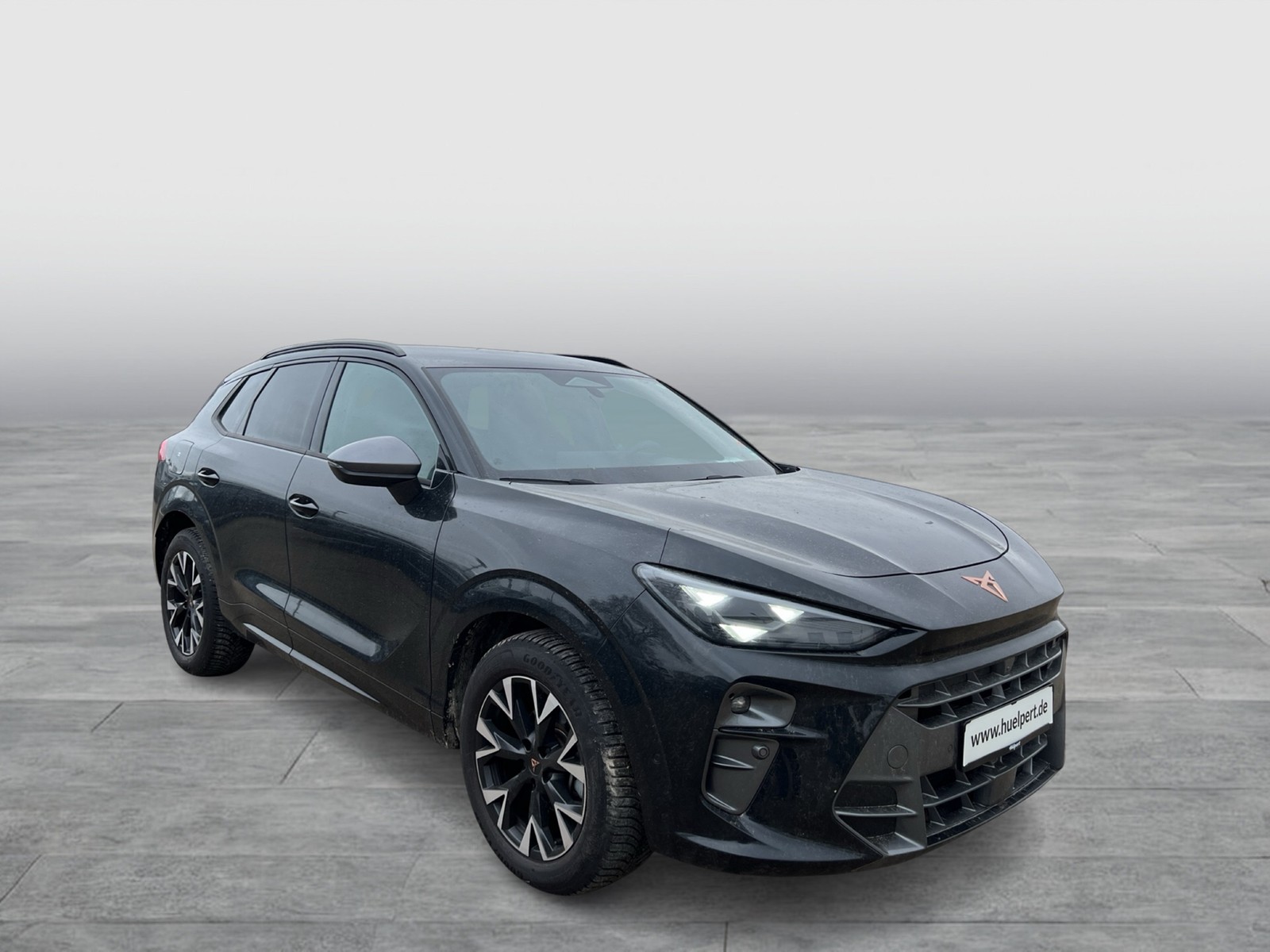 Cupra Terramar 1.5 eTSI 360CAM ACC LM18 HEADUP EKLAPPE