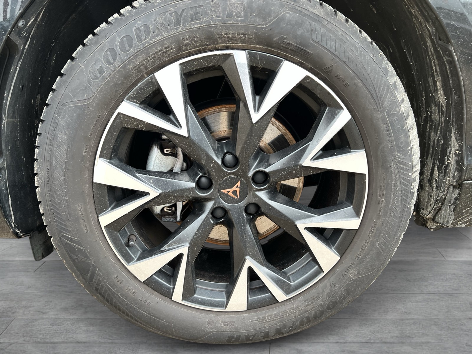 Cupra Terramar 1.5 eTSI 360CAM ACC LM18 HEADUP EKLAPPE