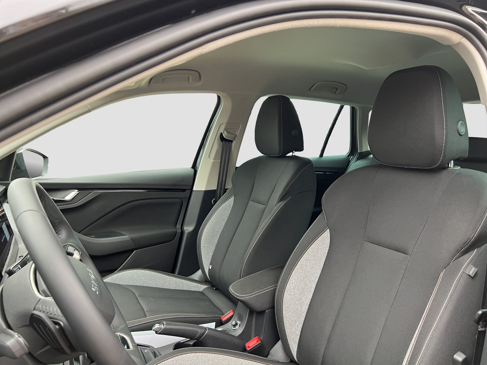 Skoda Kamiq 1.0 TOUR CAM ACC LM17 NAVI CARPLAY SITZHZ.