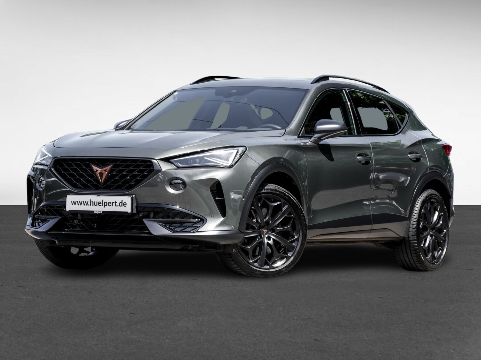 Cupra Formentor 2.0 VZ TRIBE EDITION PANO BEATS LM19