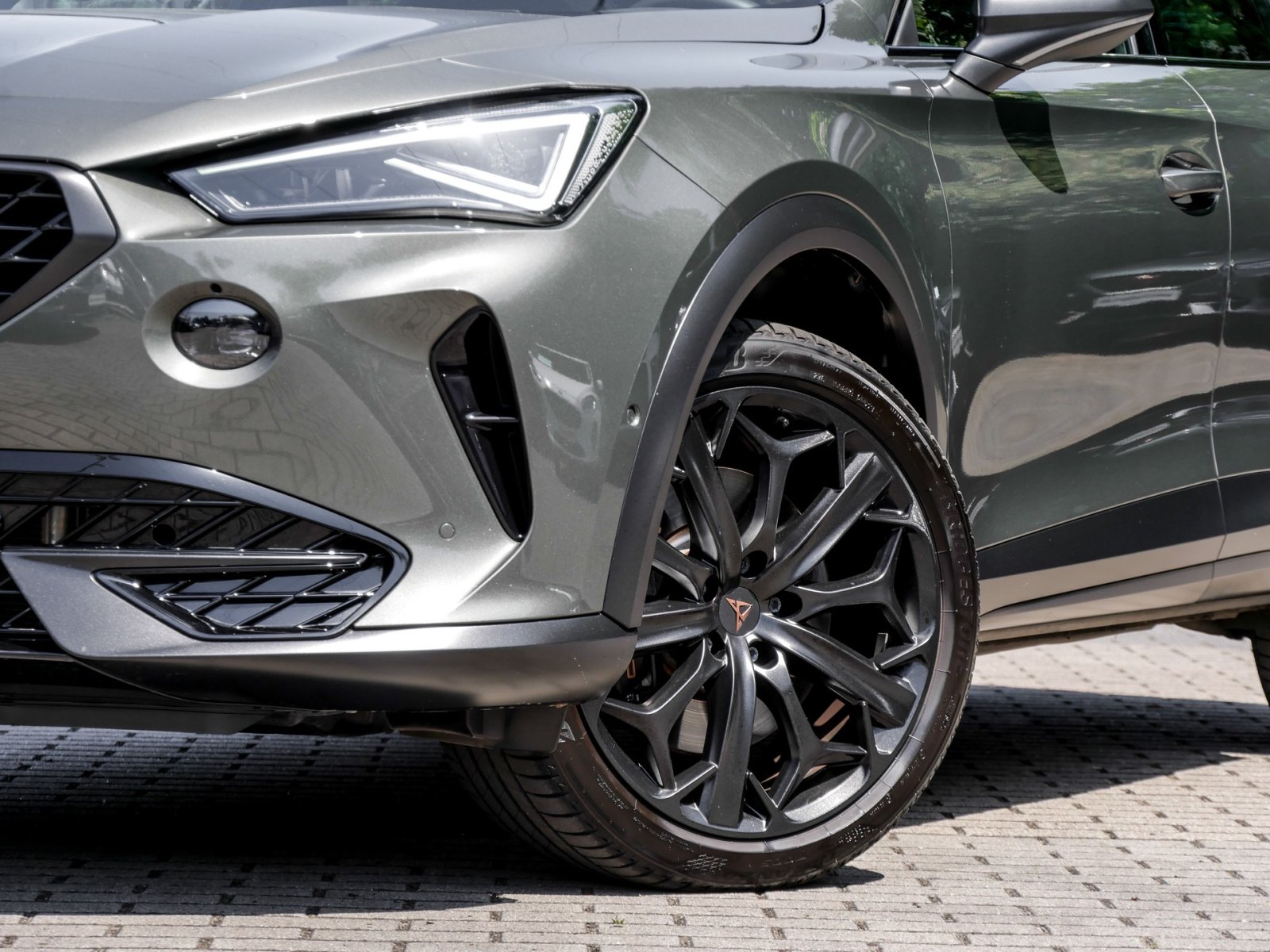 Cupra Formentor 2.0 VZ TRIBE EDITION PANO BEATS LM19
