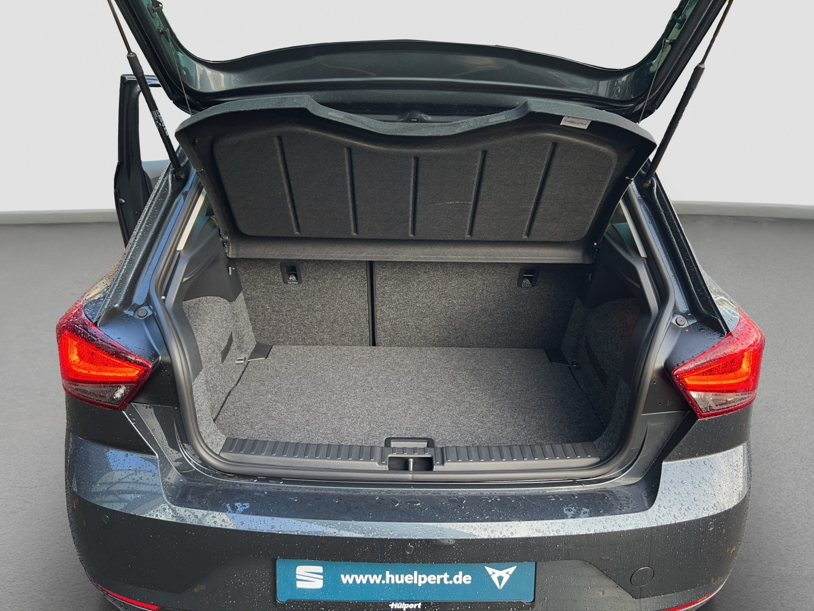 Seat Ibiza 1.0 ROAD EDITION DSG PDC RFK KESSY SHZ